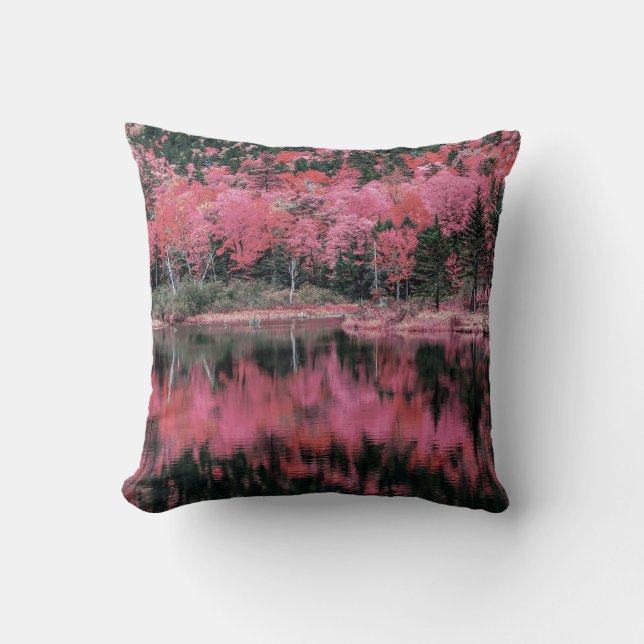 Automne en Coussin rose (Recto)