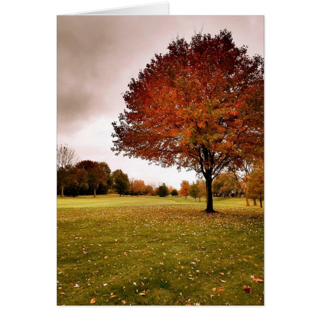 Automne en Iowa (Devant)