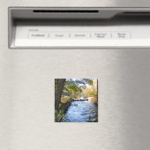 Automne en Nouvelle-Angleterre 47 ~ aimant (In Situ (Lave-vaisselle))