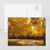 Automne en Nouvelle-Angleterre Carte postale (Devant / Derrière)