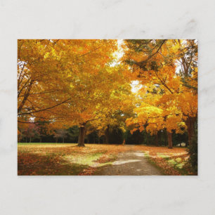 Automne en Nouvelle-Angleterre Carte postale