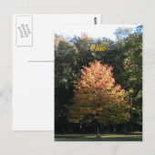 Automne en Ohio Carte postale (Devant / Derrière)