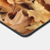 automne, feuille sec (Coin)