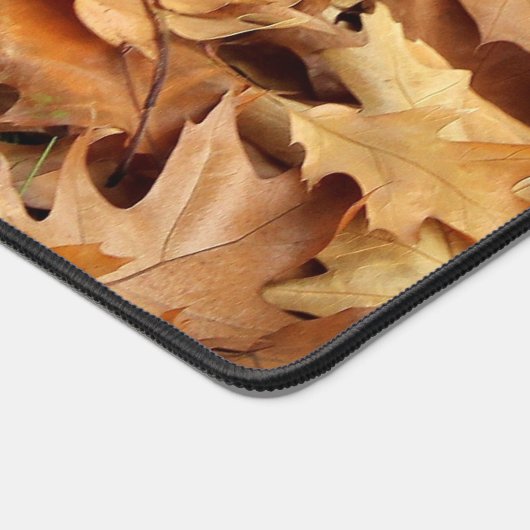 automne, feuille sec (Coin)