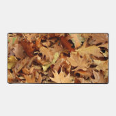 automne, feuille sec (Recto)