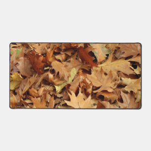 automne, feuille sec