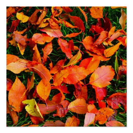 Automne Feuille Texture Poster parfait (Devant)
