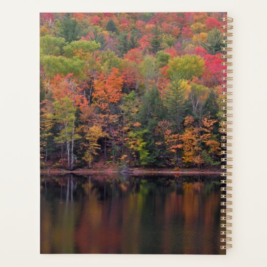 Automne Feuilles Automne Couleur de la Scène Autom (Dos)