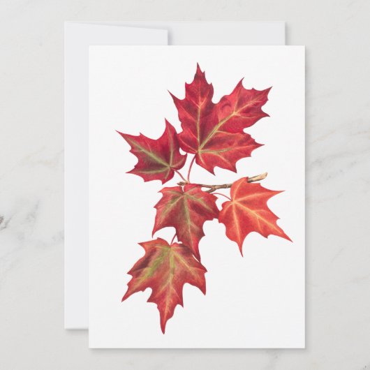 Automne Feuilles Automne Faire-part de mariage d'i (Dos)