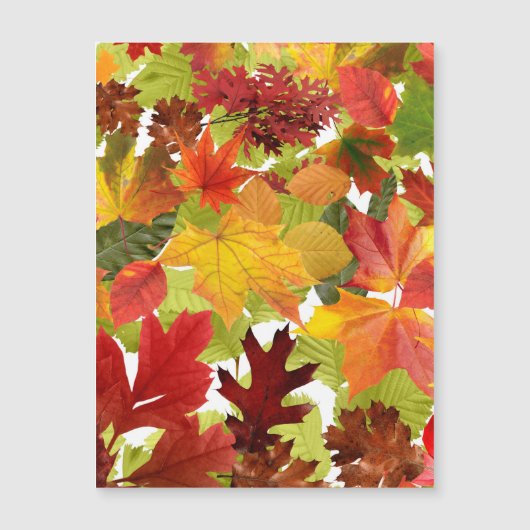 Automne Feuilles de l'automne Carte magnétique (Devant)