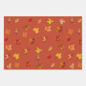 Automne Feuilles Motif avec 3 couleurs arrière - p (Devant 3)