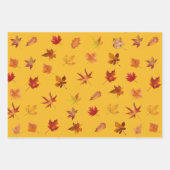 Automne Feuilles Motif avec 3 couleurs arrière - p (Devant 2)