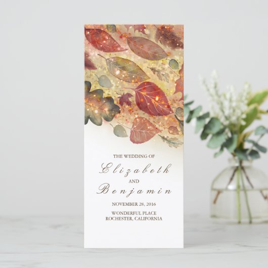 Automne Feuilles Parties scintillant Programmes de (Debout devant)