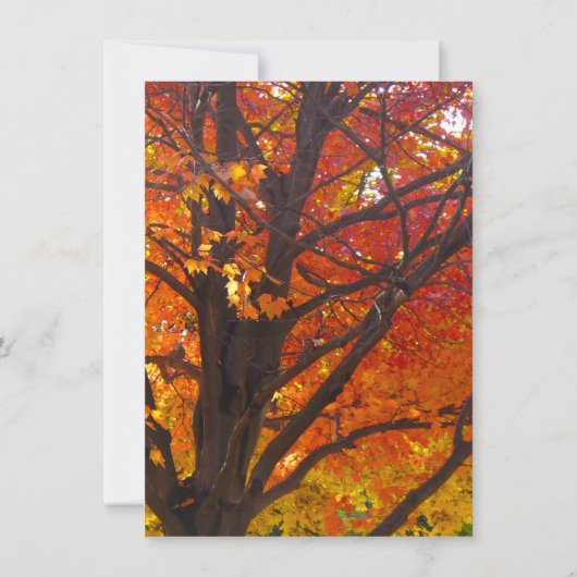 Automne Feuilles Répétition Dîner Invitation (Dos)