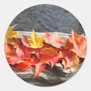 Automne Feuilles Rivière Bois flotté autocollants