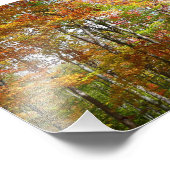 Automne Forêt II Automne Paysage Photographie (Coin)