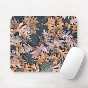 Automne glorieux sur un tapis de souris (2)