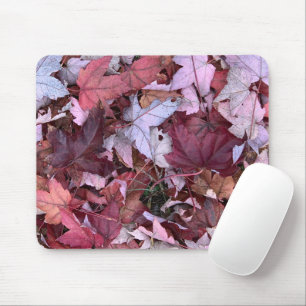 Automne glorieux sur un tapis de souris (3)