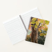 Automne Japonais Stewartia Arbre Carnet Floral (Intérieur)
