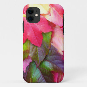 Automne laisse iPhone 5 coque
