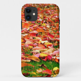 Automne laisse iPhone 5 coque