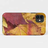 Automne laisse le Coque iPhone5 (Dos (Horizontal))