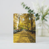 Automne le long de la carte postale du parc (Debout devant)