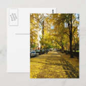 Automne le long de la carte postale du parc (Devant / Derrière)