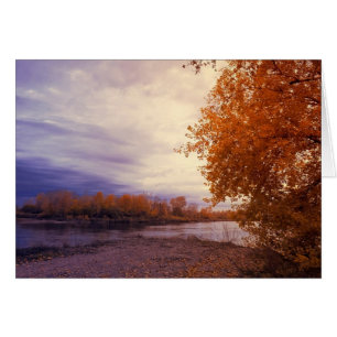 Automne Le Long De La Carte River Note
