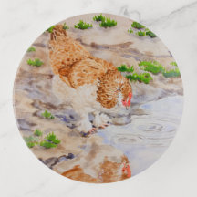 Automne le plateau de poulet