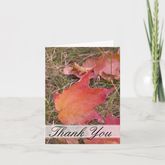 Automne : Merci (Devant)