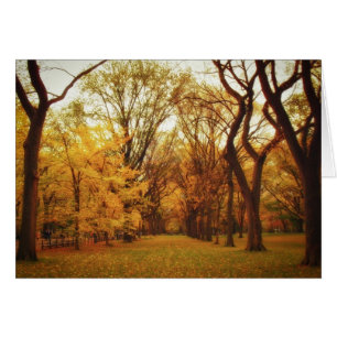 Automne - New York City