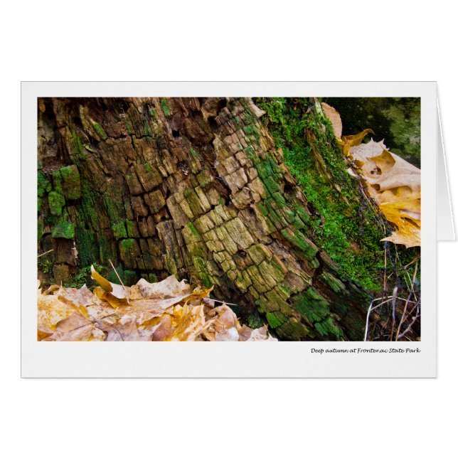 Automne profond au parc d'état de Frontenac (Devant horizontal)