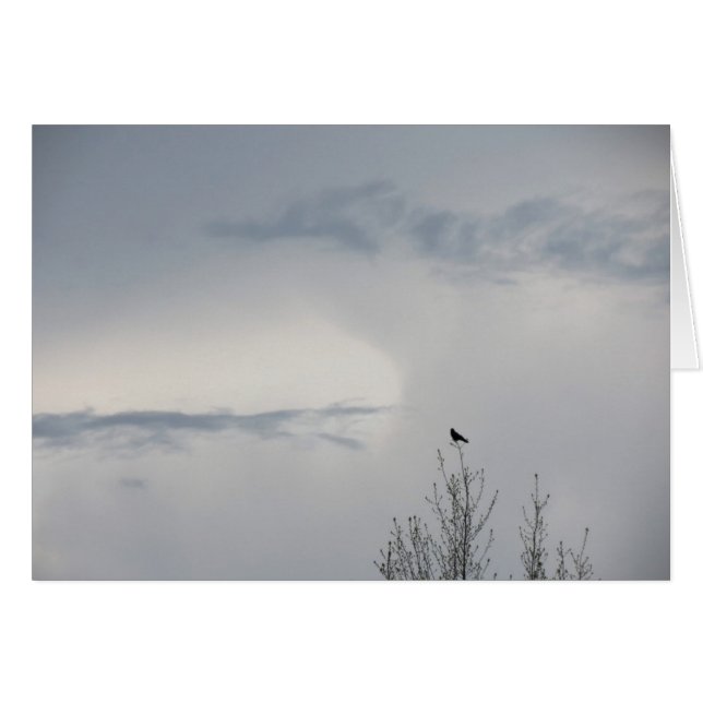 Automne Sky 2014 (Devant horizontal)