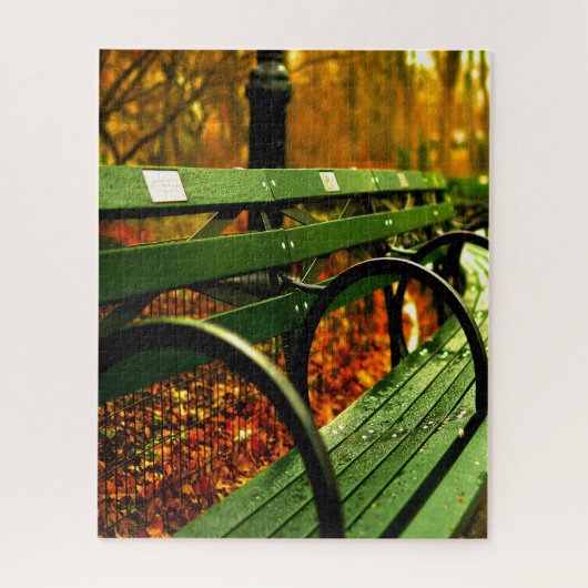Automne - Un siège à Central Park. Jigsaw Puzzle (Vertical)