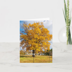 Automne Yellow Sugar Maple Penser de votre carte