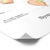 Autonoom zenuwstelsel Chiropractisch ANS Poster (Hoek)