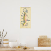 Autonoom zenuwstelsel, ruggenmergzenuwen poster (Keuken)