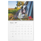 Auto's en poten kalender (Feb 2027)