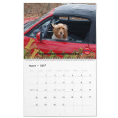 Auto's en poten kalender (Mar 2027)