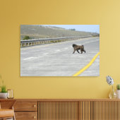 Autosnelweg bij Lonely Chacma Canvas Afdruk (Insitu (Woonkamer))