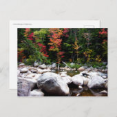 Autosnelweg Kancamagus in het najaar Briefkaart (Voorkant / Achterkant)