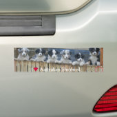 Autosticker "Australian Shepherd" Bumpersticker (Op auto)