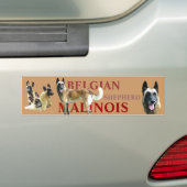Autosticker voor de Belgian Shepherd Malinois Bumpersticker (Op auto)