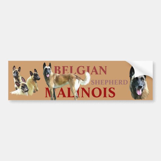 Autosticker voor de Belgian Shepherd Malinois Bumpersticker (Voorkant)