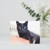 autour de la carte postale (Debout devant)