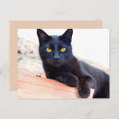 autour de la carte postale (Devant / Derrière)