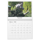 Autour du calendrier Albuquerque (Feb 2026)