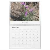 Autour du calendrier Albuquerque (Mar 2027)