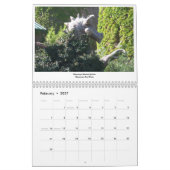 Autour du calendrier Albuquerque (Feb 2027)